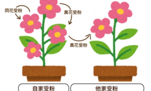 身上这起个包那起个包是什么-身上起了一片包 那个包上都有个眼-专业身上长一个包很痒怎么回事平台-身上长成片的包
